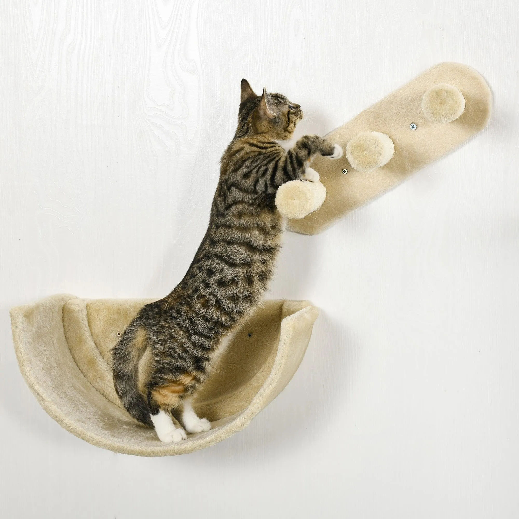 4-Piece Wall-mounted Cat Climbing Shelves Set, Beige