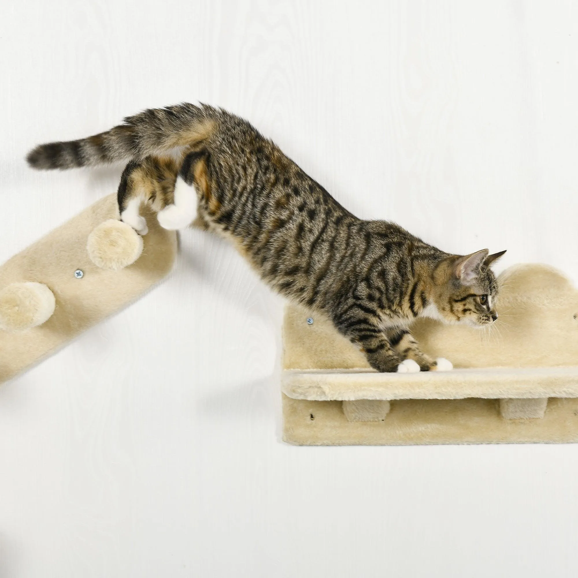 4-Piece Wall-mounted Cat Climbing Shelves Set, Beige