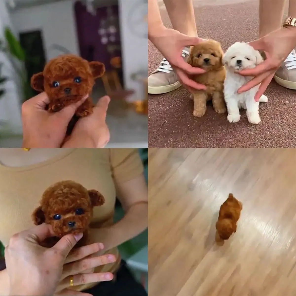 AI Robot Dog, Smart Realistic Robot Puppy, Robotic Dog That Acts Like a Real Dog, Smart Robotic Puppy - Walking, Barking, Tail Wagging (Set F)