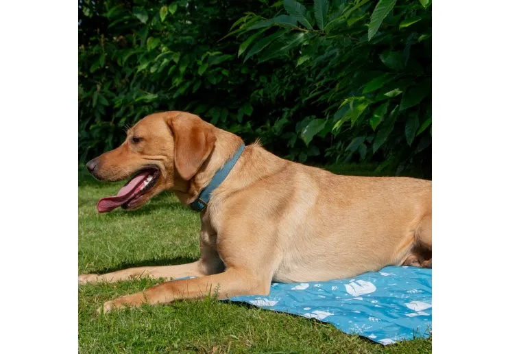 Ancol Pet Cooling Mat