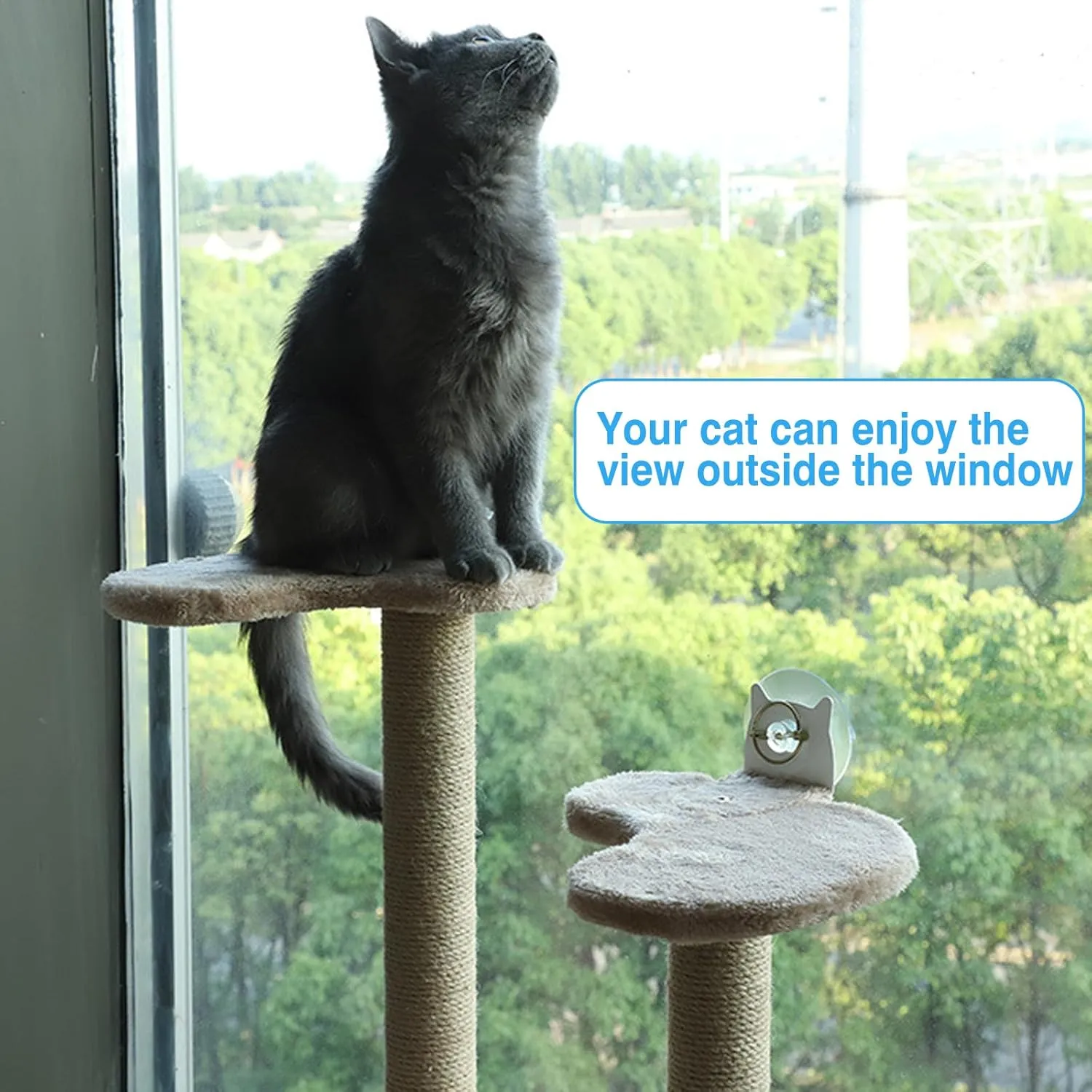 Artcare Cat Window Perch with Climbing Steps Cats Perches Hammock with Climbing Steps Post Window Mounted 4 Suction Cups (Gray, L)