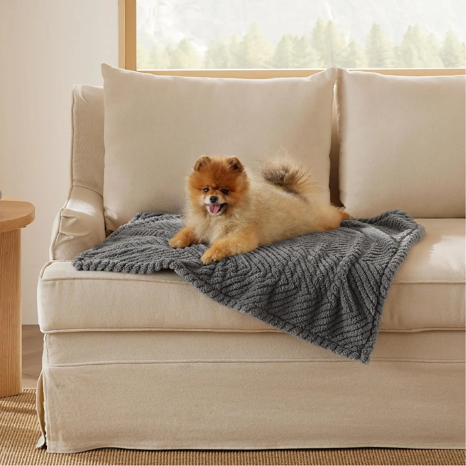 Bedsure Dog Blanket for Small Dogs Washable - Fluffy Fuzzy Puppy Cat Blanket with Premium 300GSM Coral Fleece Soft for Pet Kitten Doggy, Grey, 25x35IN