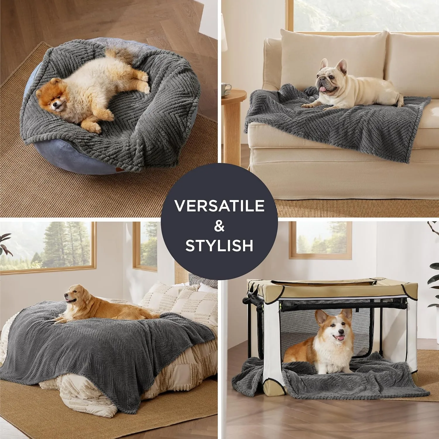 Bedsure Dog Blanket for Small Dogs Washable - Fluffy Fuzzy Puppy Cat Blanket with Premium 300GSM Coral Fleece Soft for Pet Kitten Doggy, Grey, 25x35IN