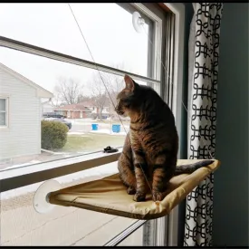 Breathable Pet Hanging Hammock