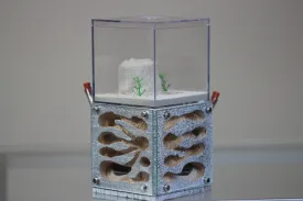Casita (Custom-Silver 1)