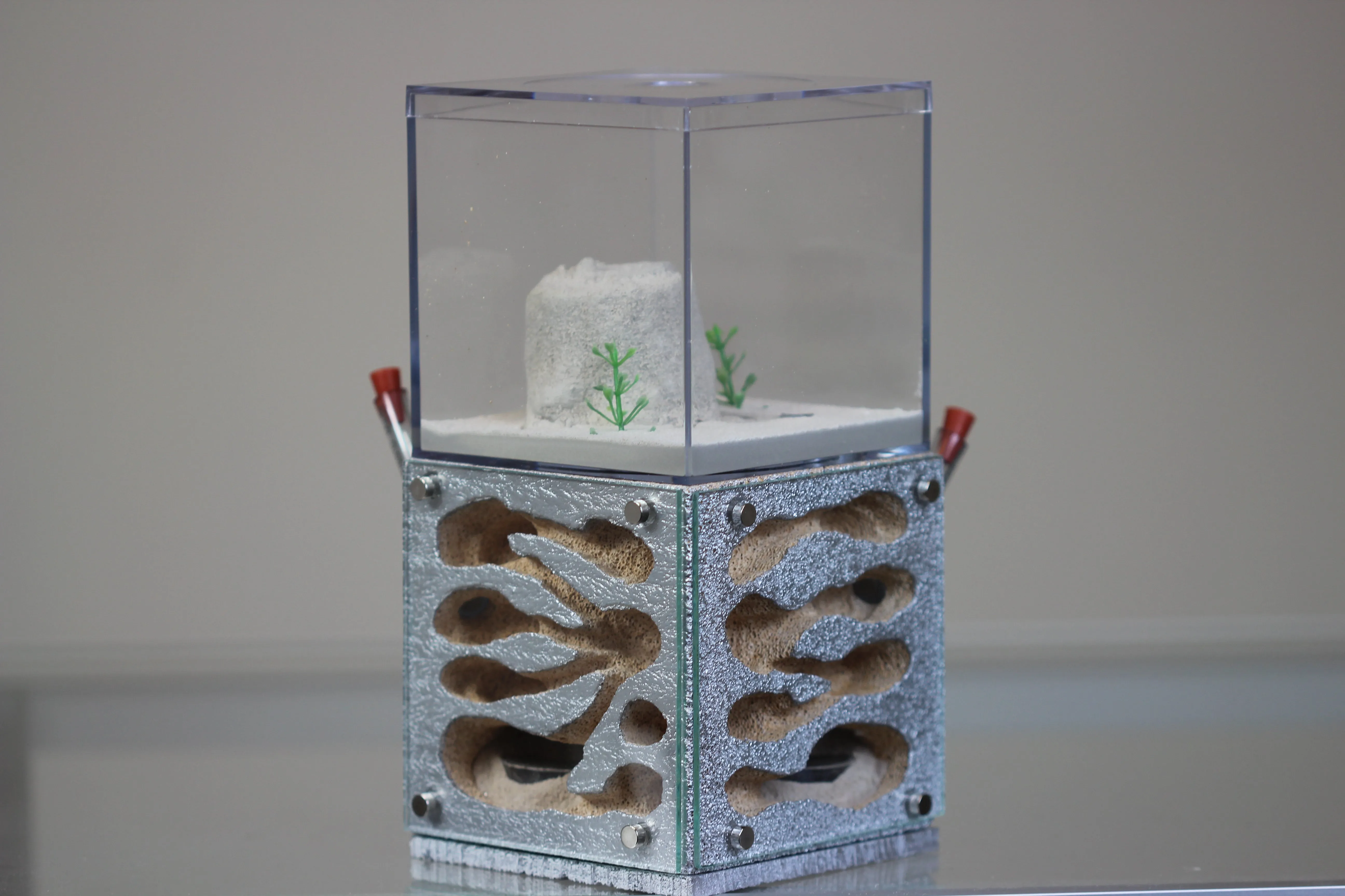 Casita (Custom-Silver 1)