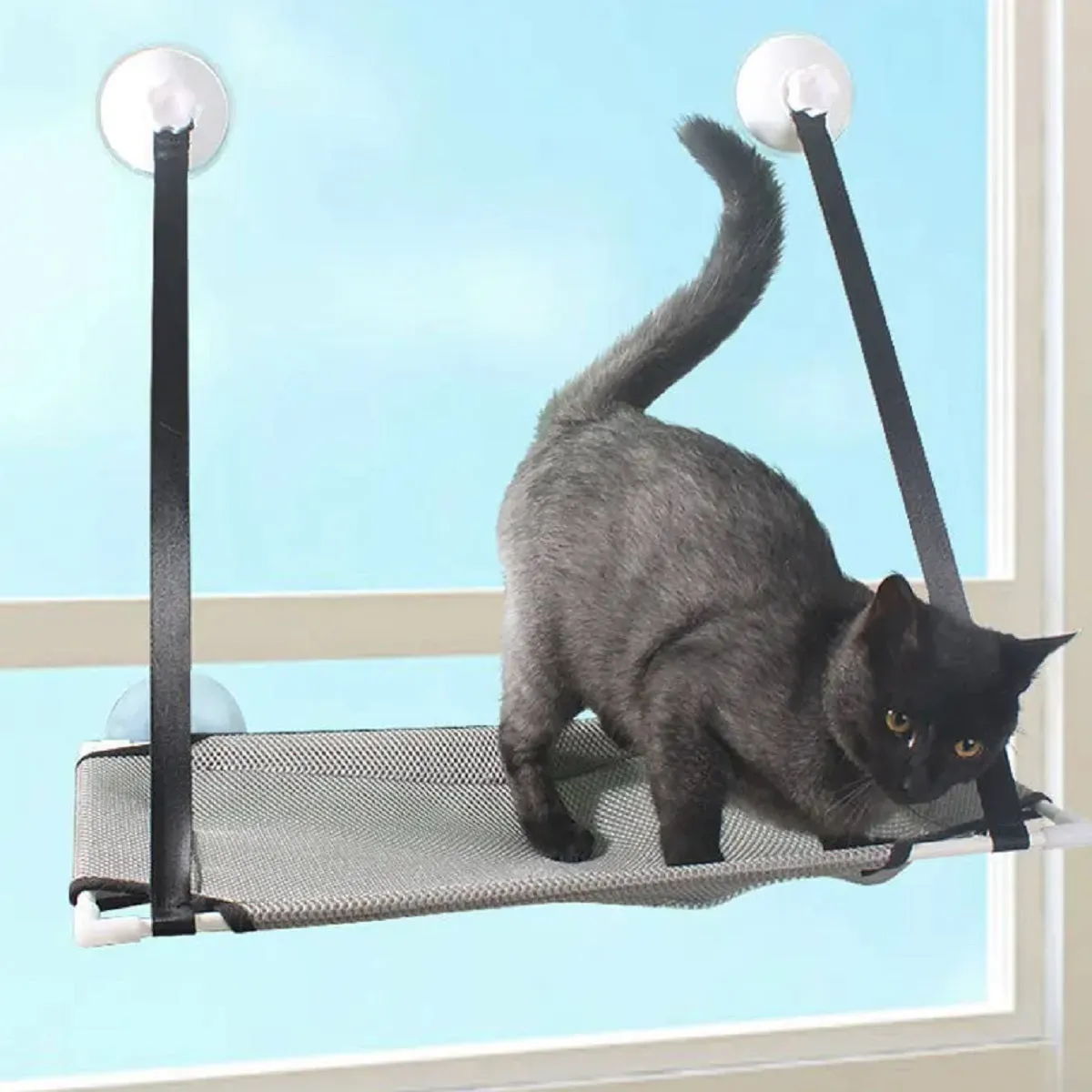 Cat Bed Hanging Window Double-Layer Pet Hammock