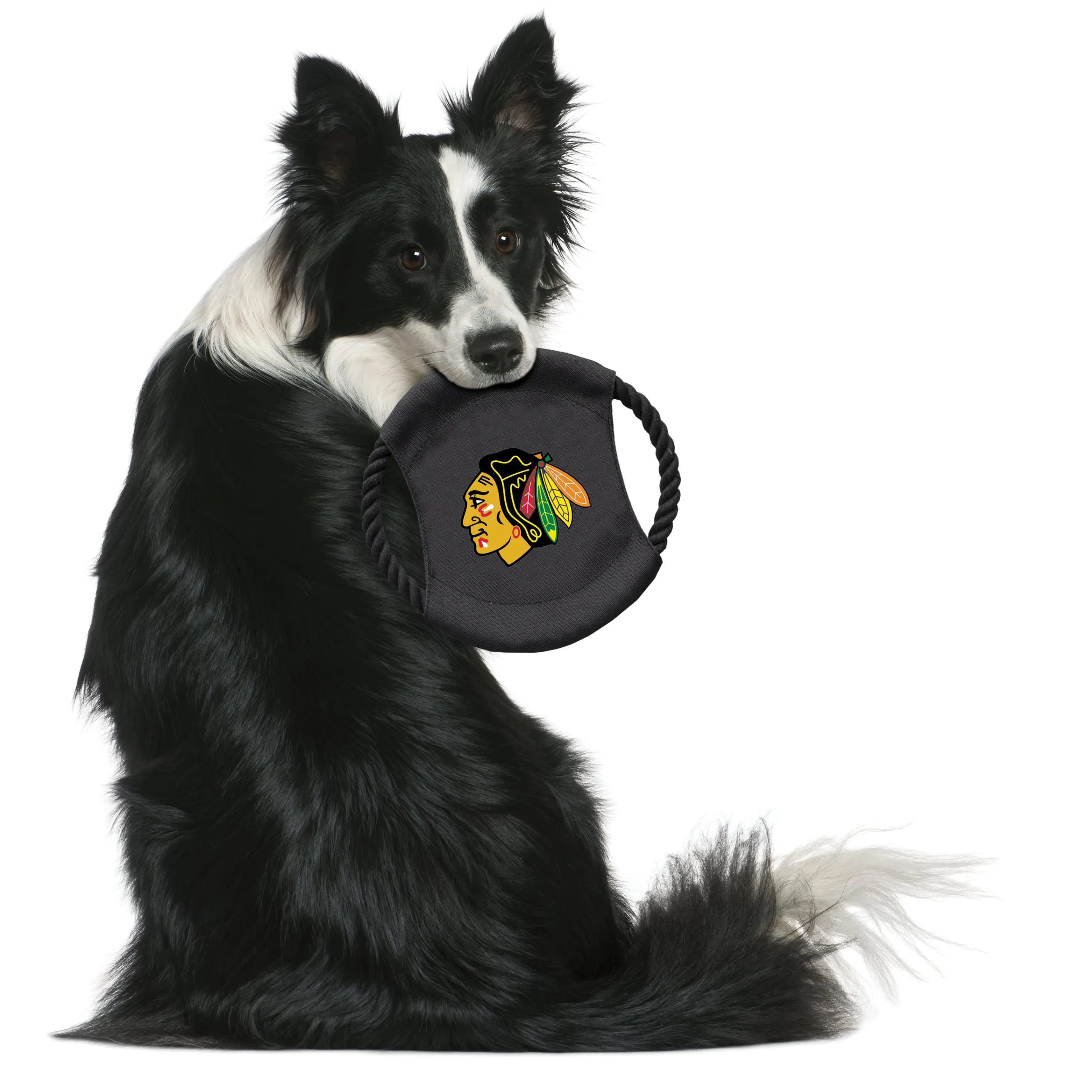 Chicago Blackhawks Team Flying Disc Pet Toy