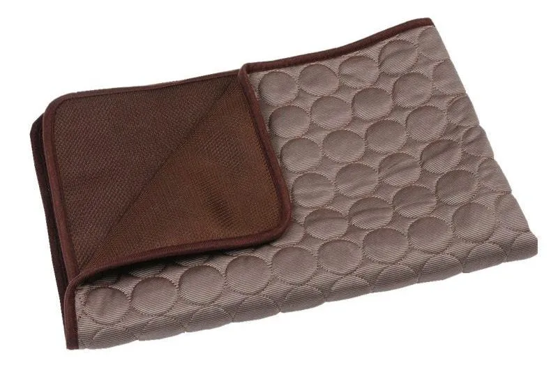 Dog Cooling Mat: Non-Toxic Ice Silk Pad for Pets