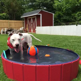 Dog Heaven™ Collapsible Pool