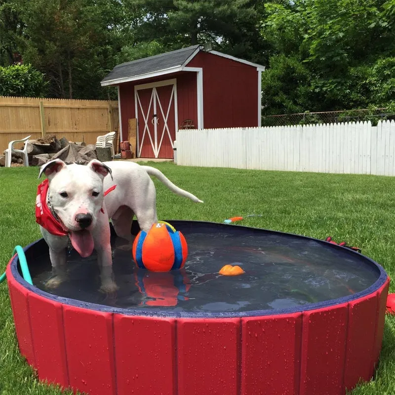 Dog Heaven™ Collapsible Pool