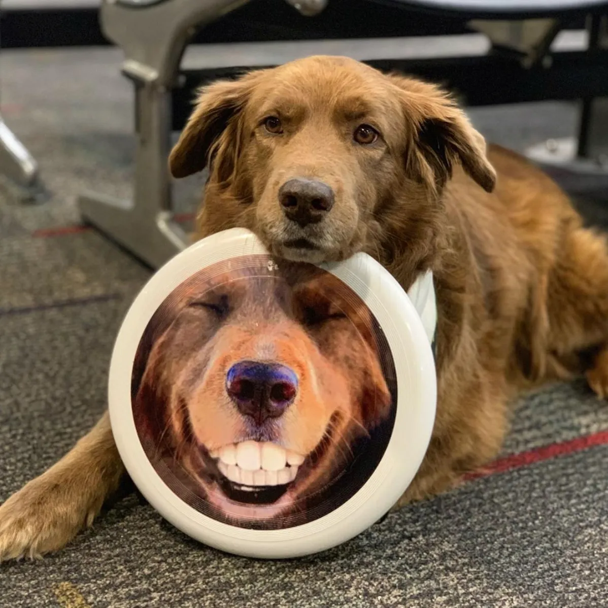 Happy Cocoa Frisbee