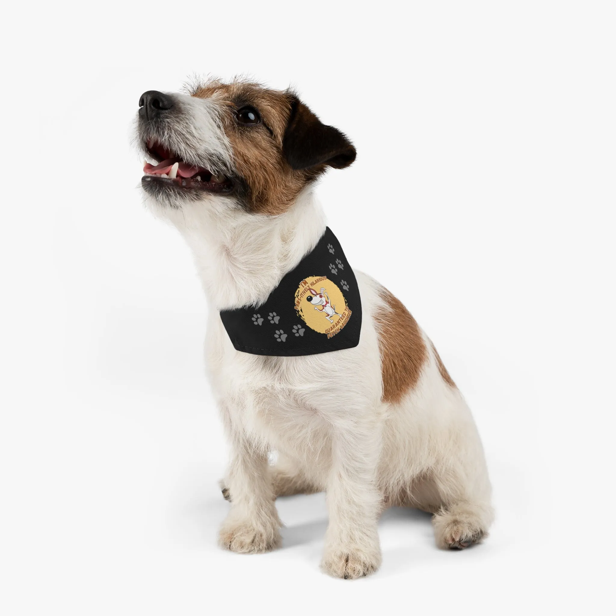 I'm Paws-itively Hilarious, Guaranteed to Fetch Laughter! Pet Bandana Collar