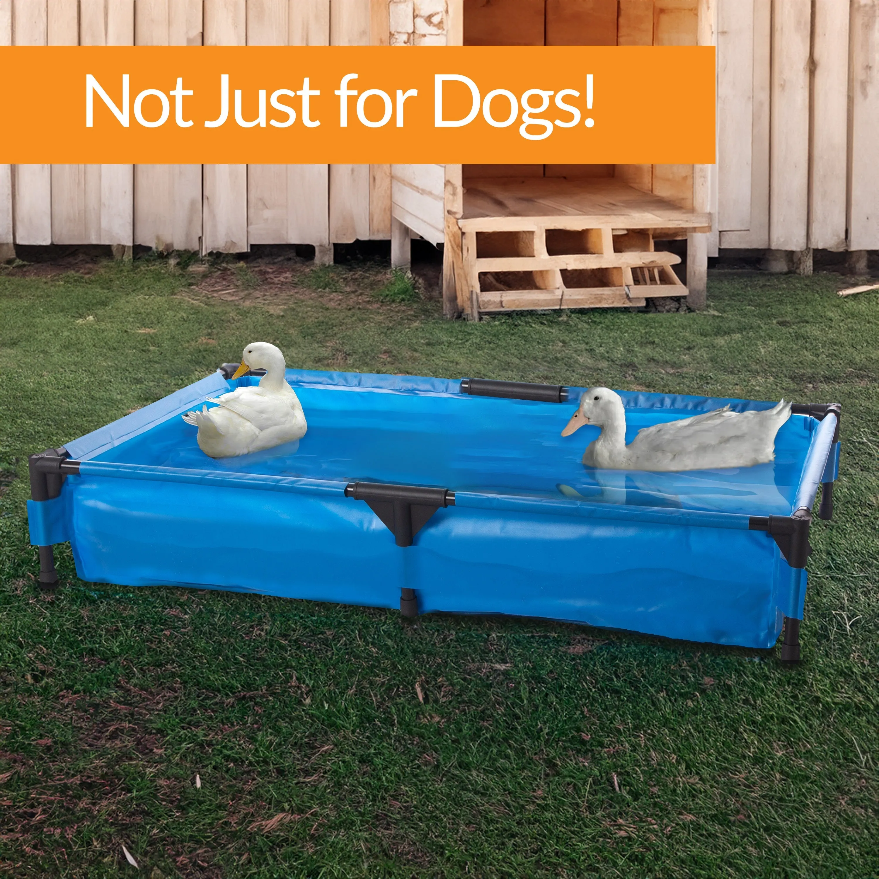 K&H Dog Pool & Pet Bath