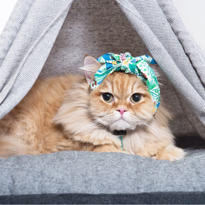 Korean Design Pet Tee Pee