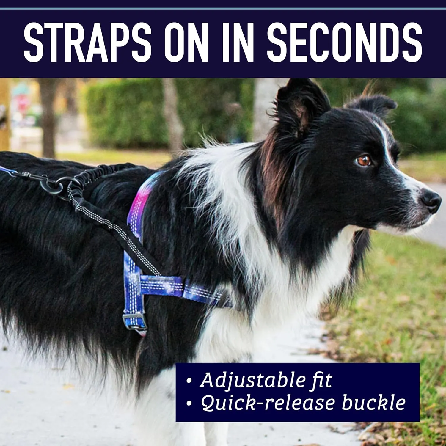 Leash Boss No Pull Dog Harness, Easy Walk for Small, Medium, and Large Pets, Reflective with Rear and Front Clip Attachment (Space Pattern, Medium)