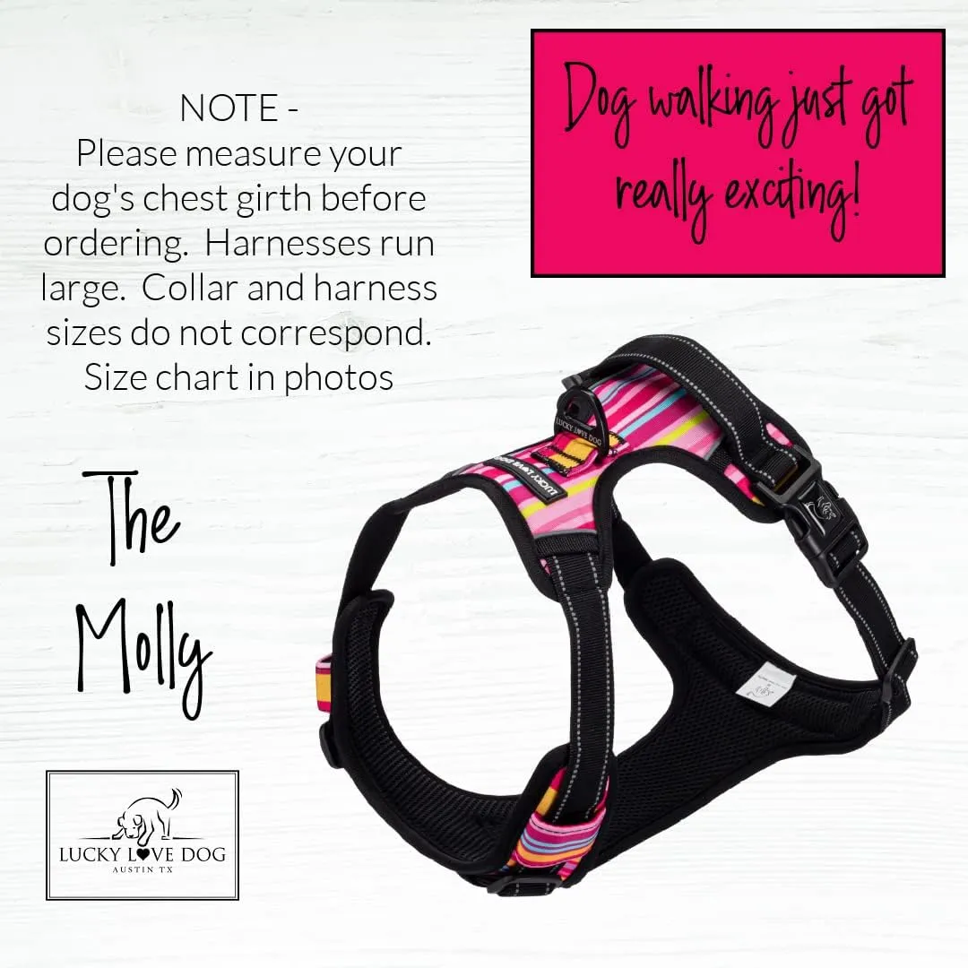 Lucky Love Dog No Pull ,,, - ,