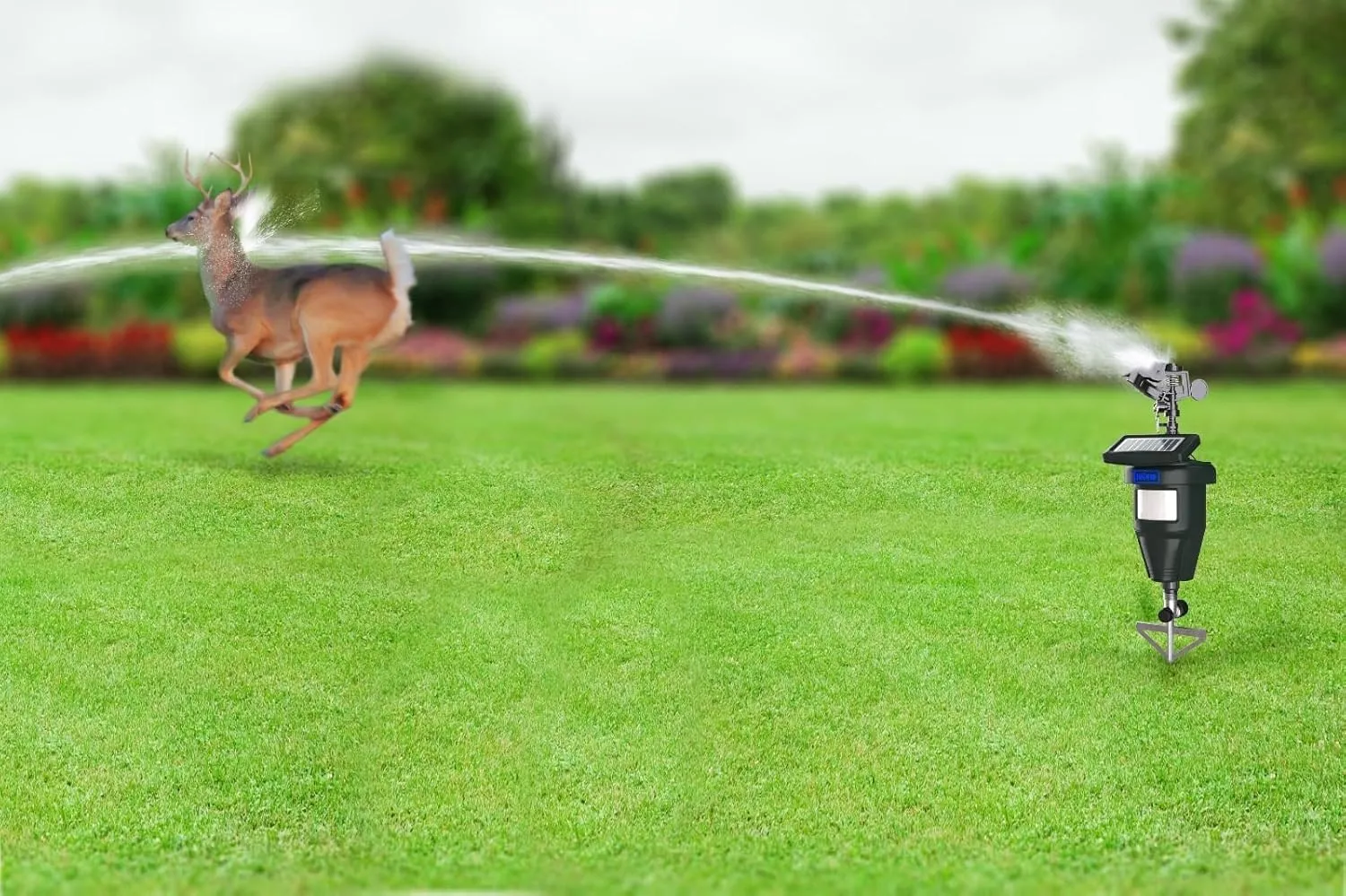 Motion-Activated Lawn Watering System  Automatic Sprinkler with Built-in Animal Repellent  Waters Your Garden and Keeps Pests Away TR-803