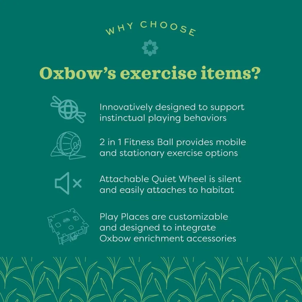 Oxbow Animal Health Enriched Life 2 in 1 Quiet Small Animal Runner Exercise Wheel