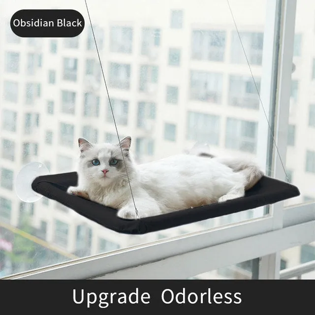 Pat and Pet Emporium | Pet Beds | Suction Cup Cat Hammock