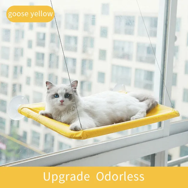 Pat and Pet Emporium | Pet Beds | Suction Cup Cat Hammock
