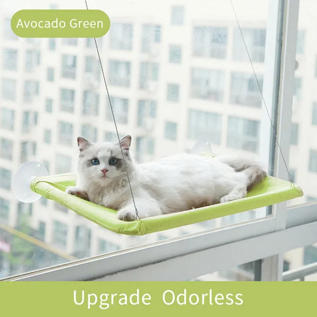Pat and Pet Emporium | Pet Beds | Suction Cup Cat Hammock