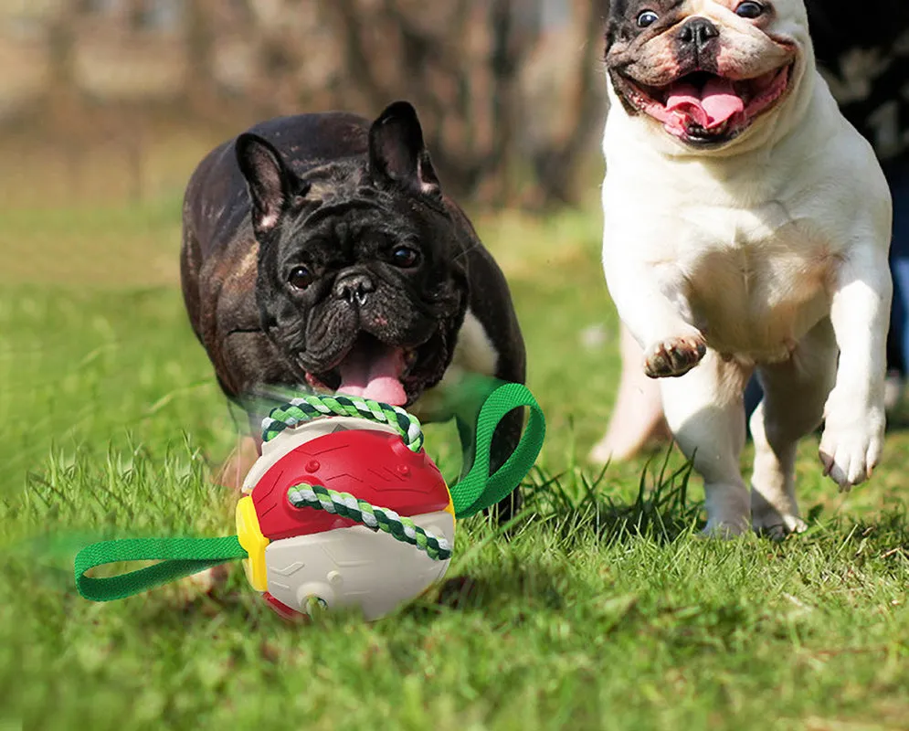 Pat and Pet Emporium | Pet Toys | Dog Interactive Playtime Toy