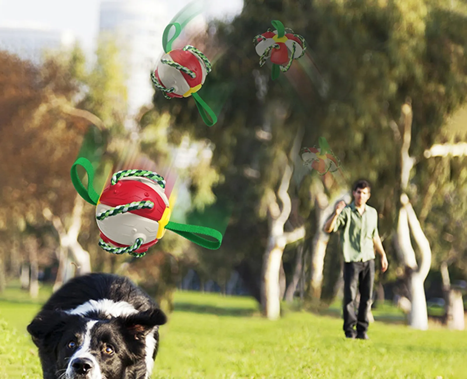 Pat and Pet Emporium | Pet Toys | Dog Interactive Playtime Toy