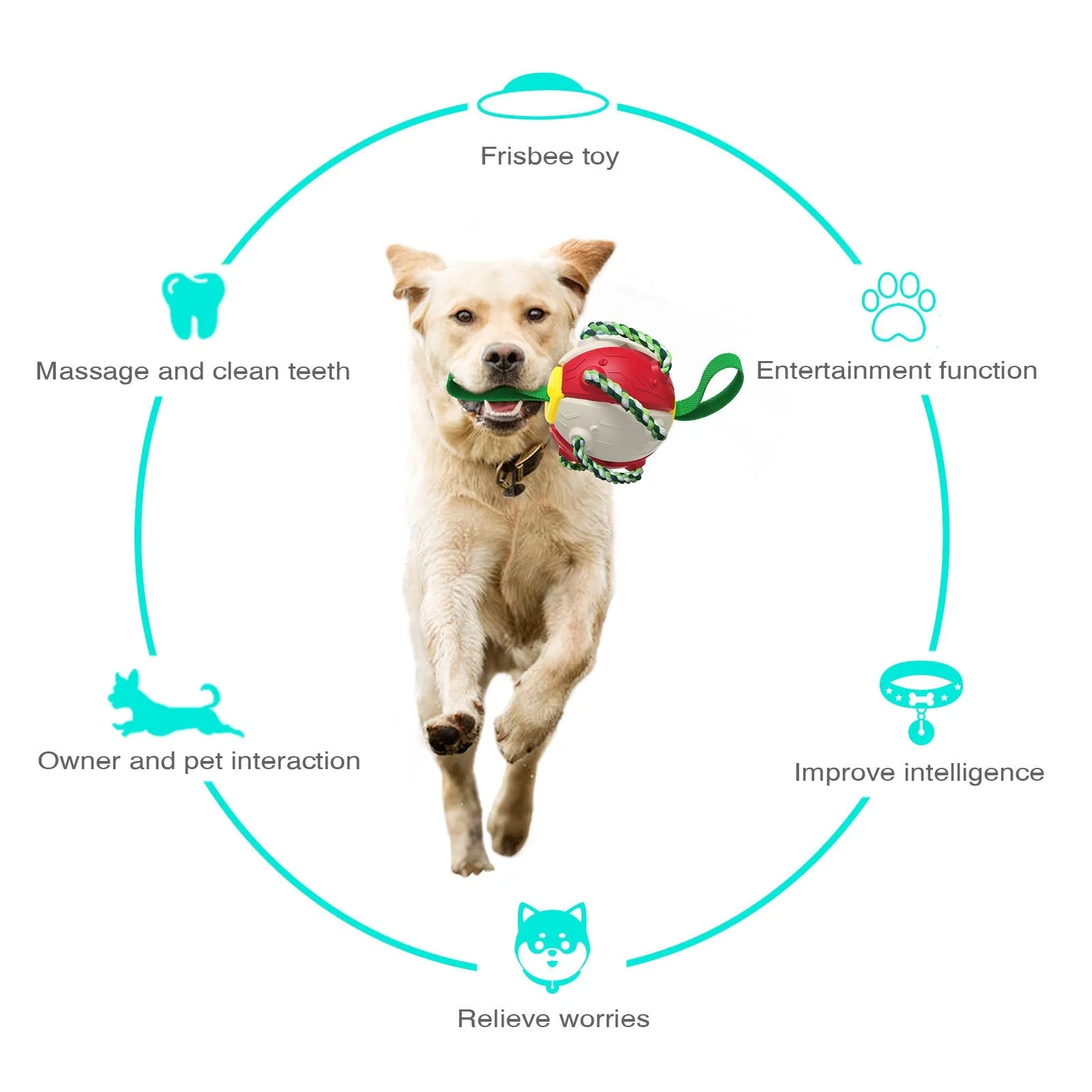 Pat and Pet Emporium | Pet Toys | Dog Interactive Playtime Toy