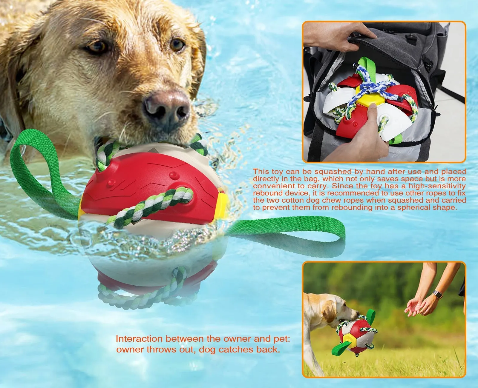 Pat and Pet Emporium | Pet Toys | Dog Interactive Playtime Toy