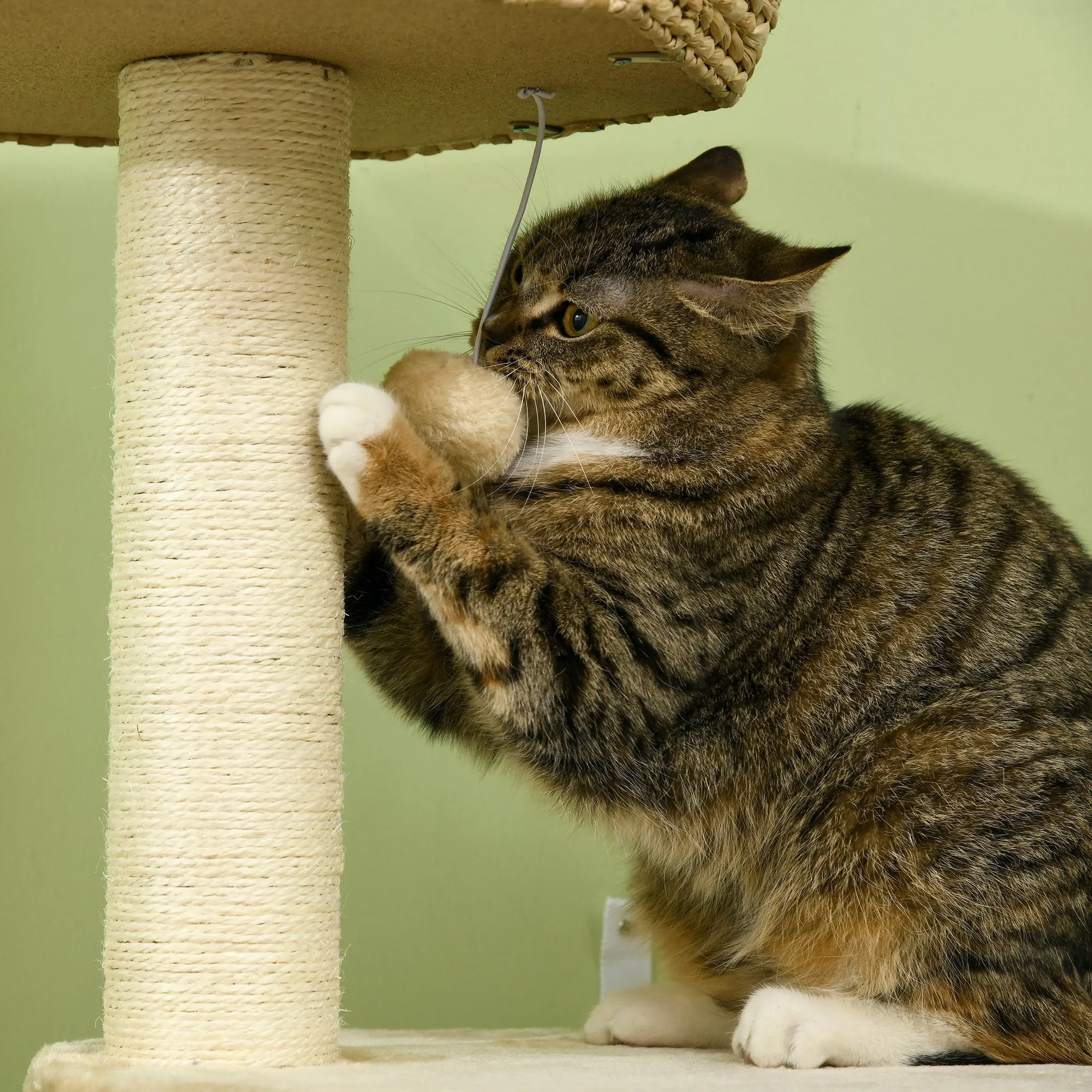 PawHut Cat Tree Activity Centre with Cattail Fluff Bed House Sisal Post Ball