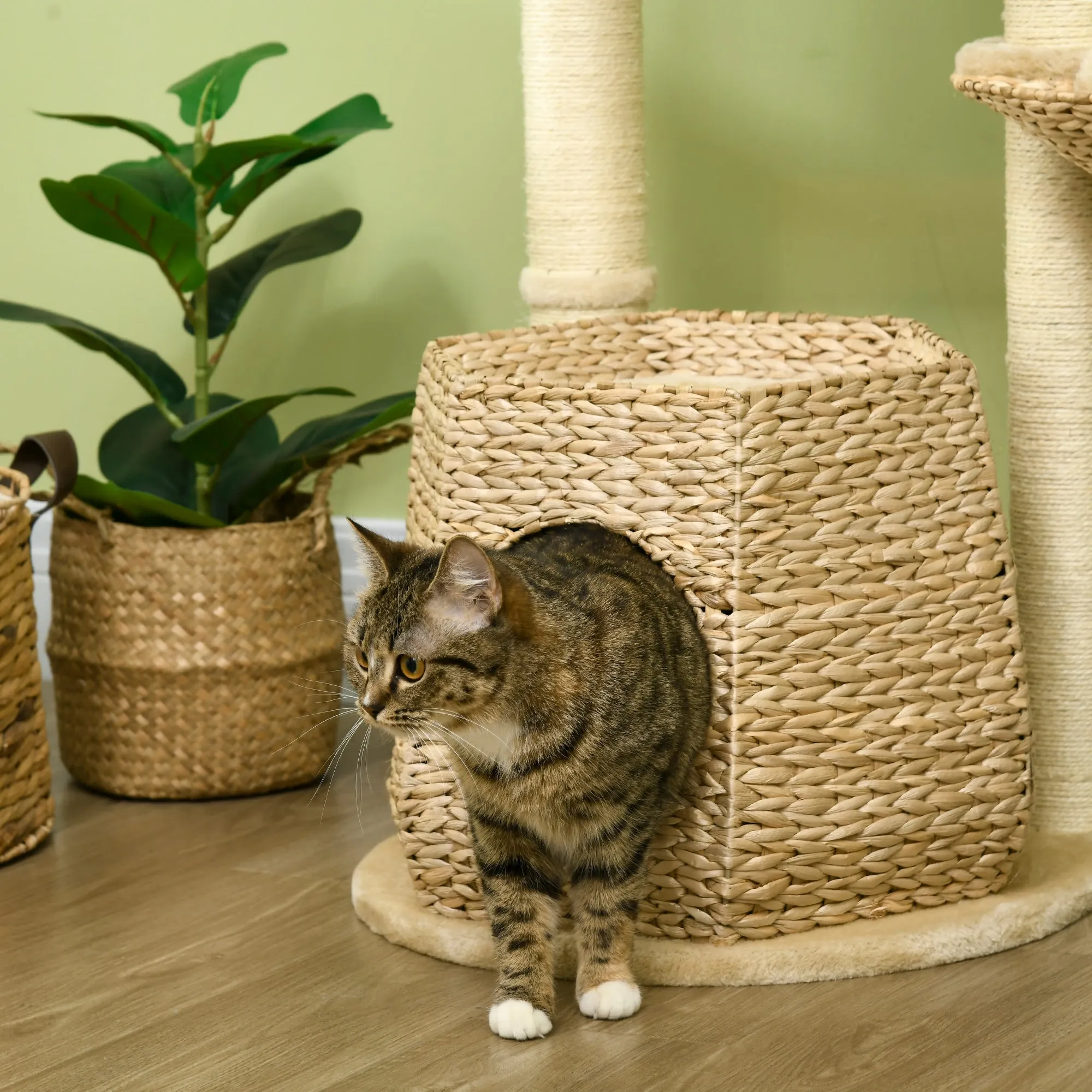 PawHut Cat Tree Activity Centre with Cattail Fluff Bed House Sisal Post Ball