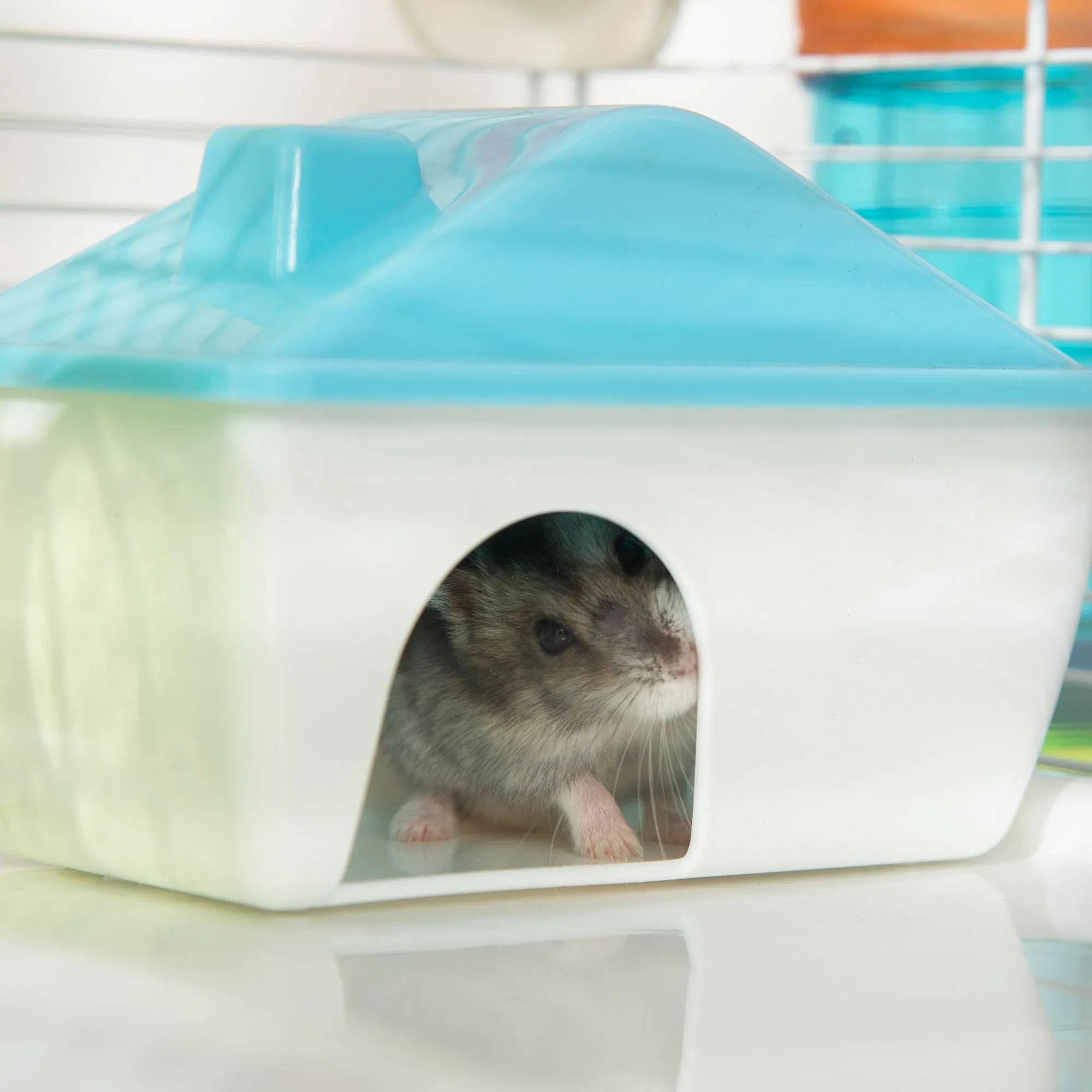 PawHut Large Hamster Cage w/ Water Bottle, Exercise Wheel, Ramps - Blue