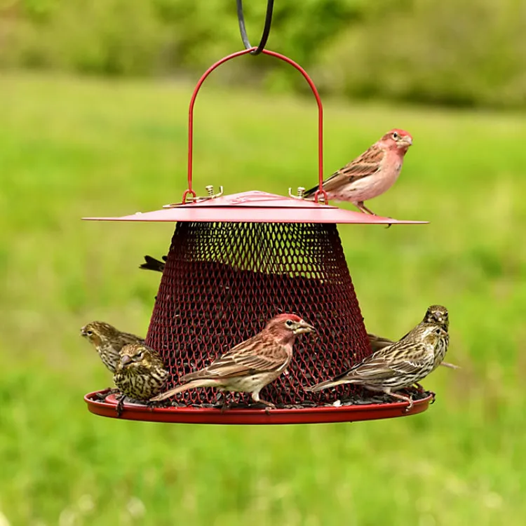 Perky-Pet C00322 Cardinal Wild Bird Feeder, 2.5 Lbs Seed Capacity, Red