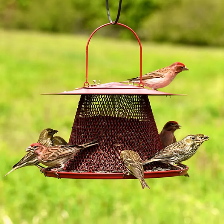 Perky-Pet C00322 Cardinal Wild Bird Feeder, 2.5 Lbs Seed Capacity, Red