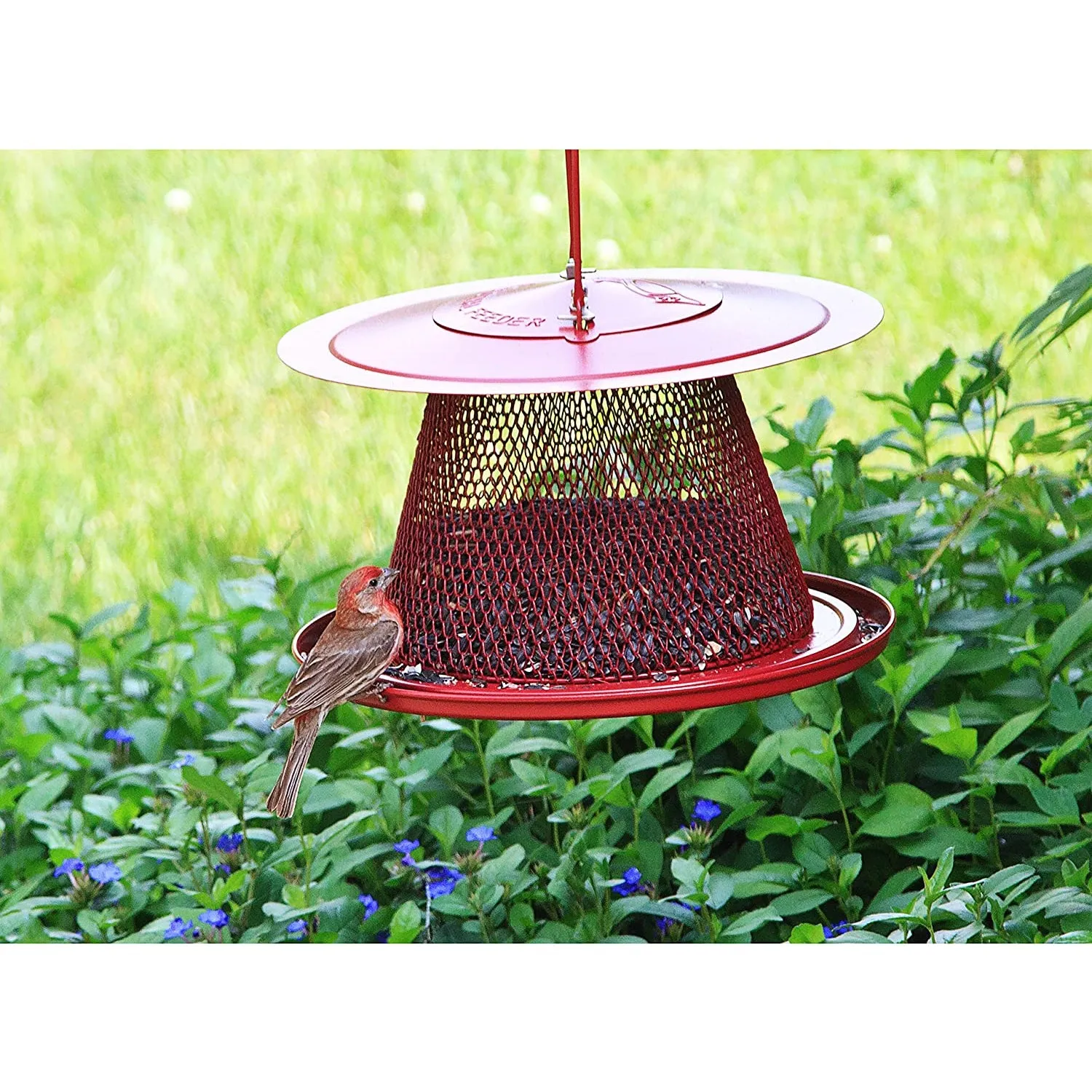 Perky-Pet C00322 Cardinal Wild Bird Feeder, 2.5 Lbs Seed Capacity, Red