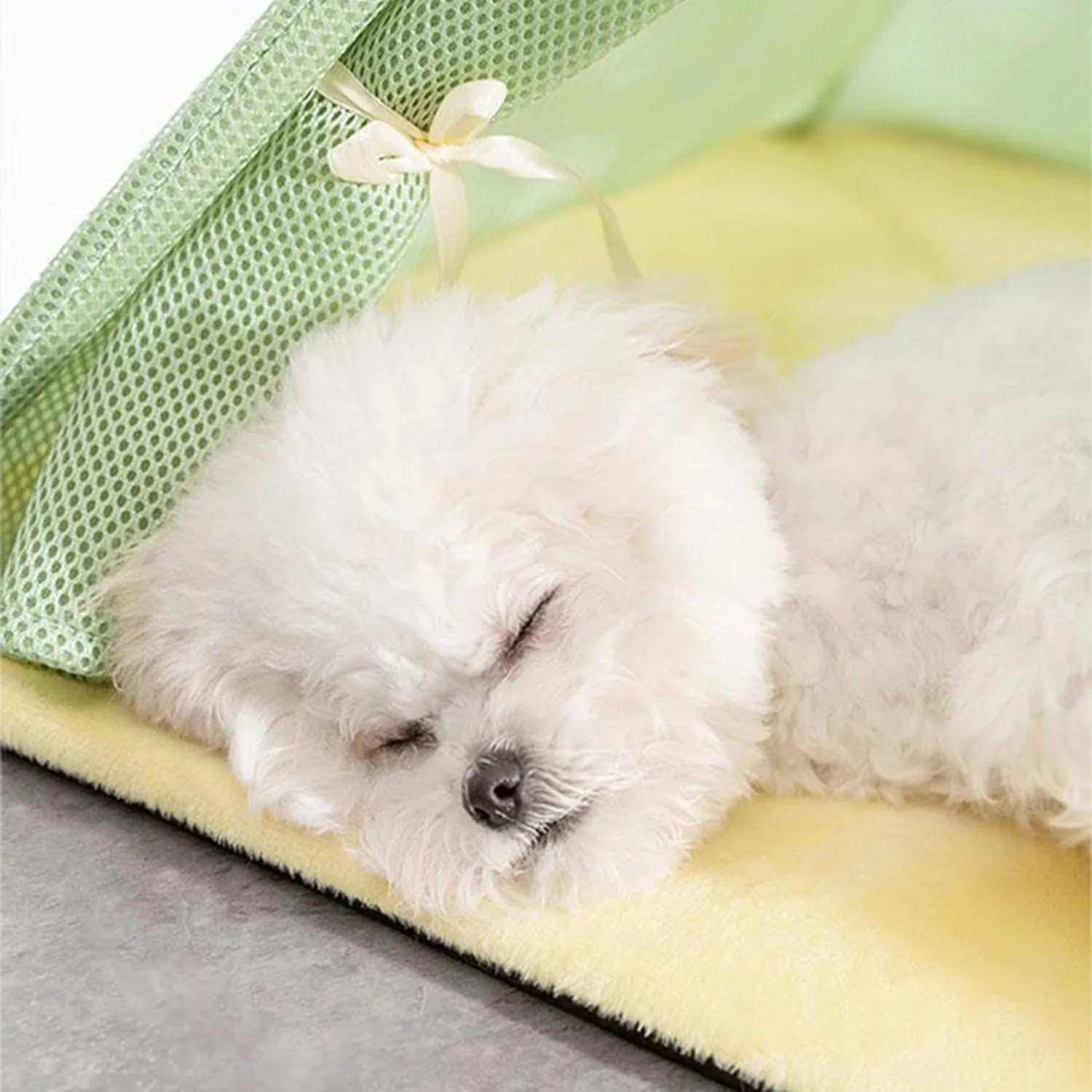 Pet Summer Breathable Sandwich Tent Enclosed Cat Nest