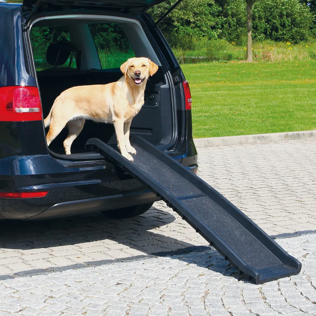 Portable Foldable Dog Ramp