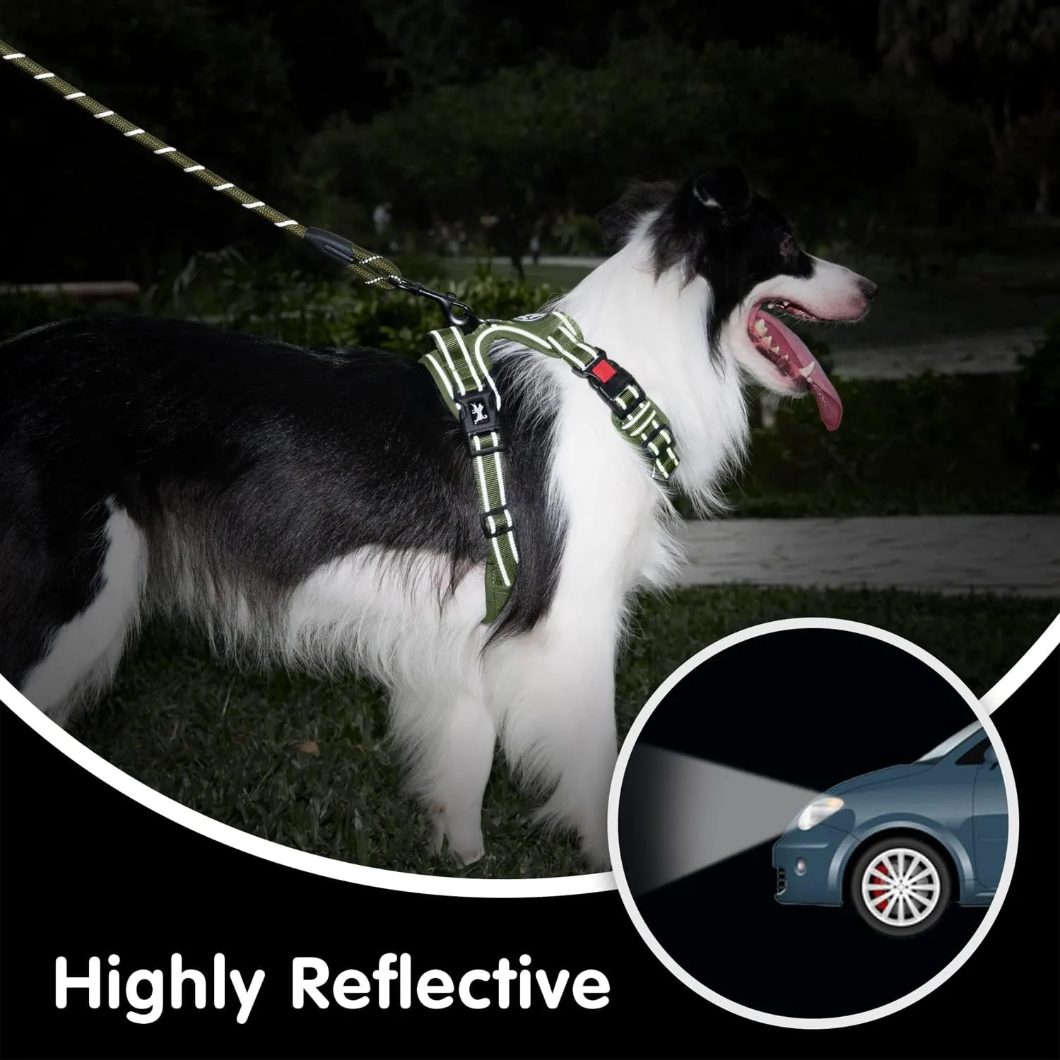 PoyPet No Pull Dog Harness and 5 Feet Leash Set, Release on Neck Reflective Adjustable Pet Vest, Front & Back 2 D-Ring and Soft Padded Pet Harness with Handle for Small to Large Dogs(Military Green,S)