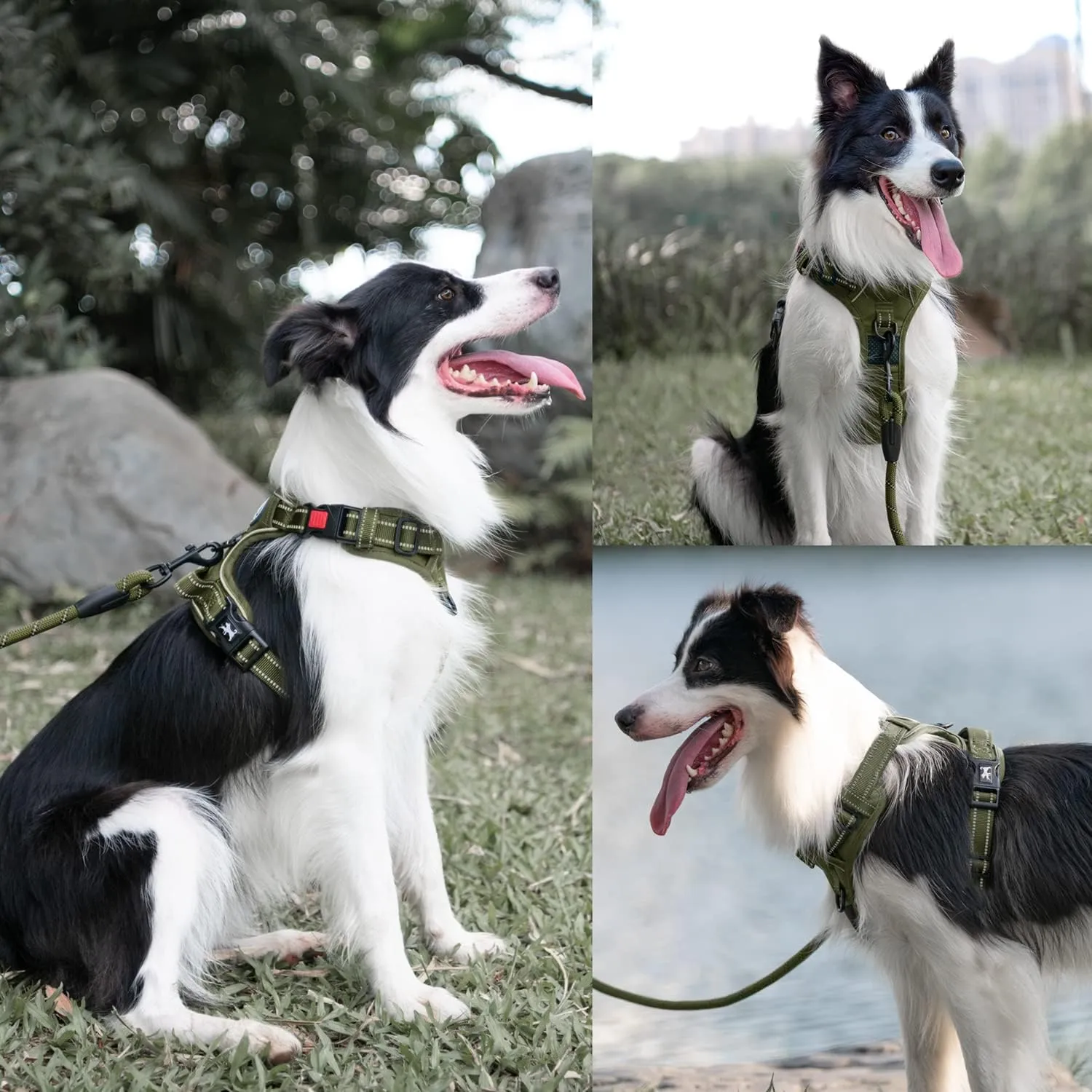 PoyPet No Pull Dog Harness and 5 Feet Leash Set, Release on Neck Reflective Adjustable Pet Vest, Front & Back 2 D-Ring and Soft Padded Pet Harness with Handle for Small to Large Dogs(Military Green,S)