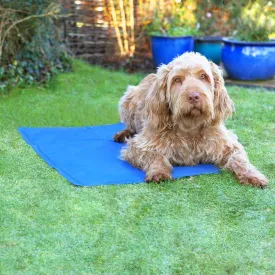 ROSEWOOD PET COOL MAT