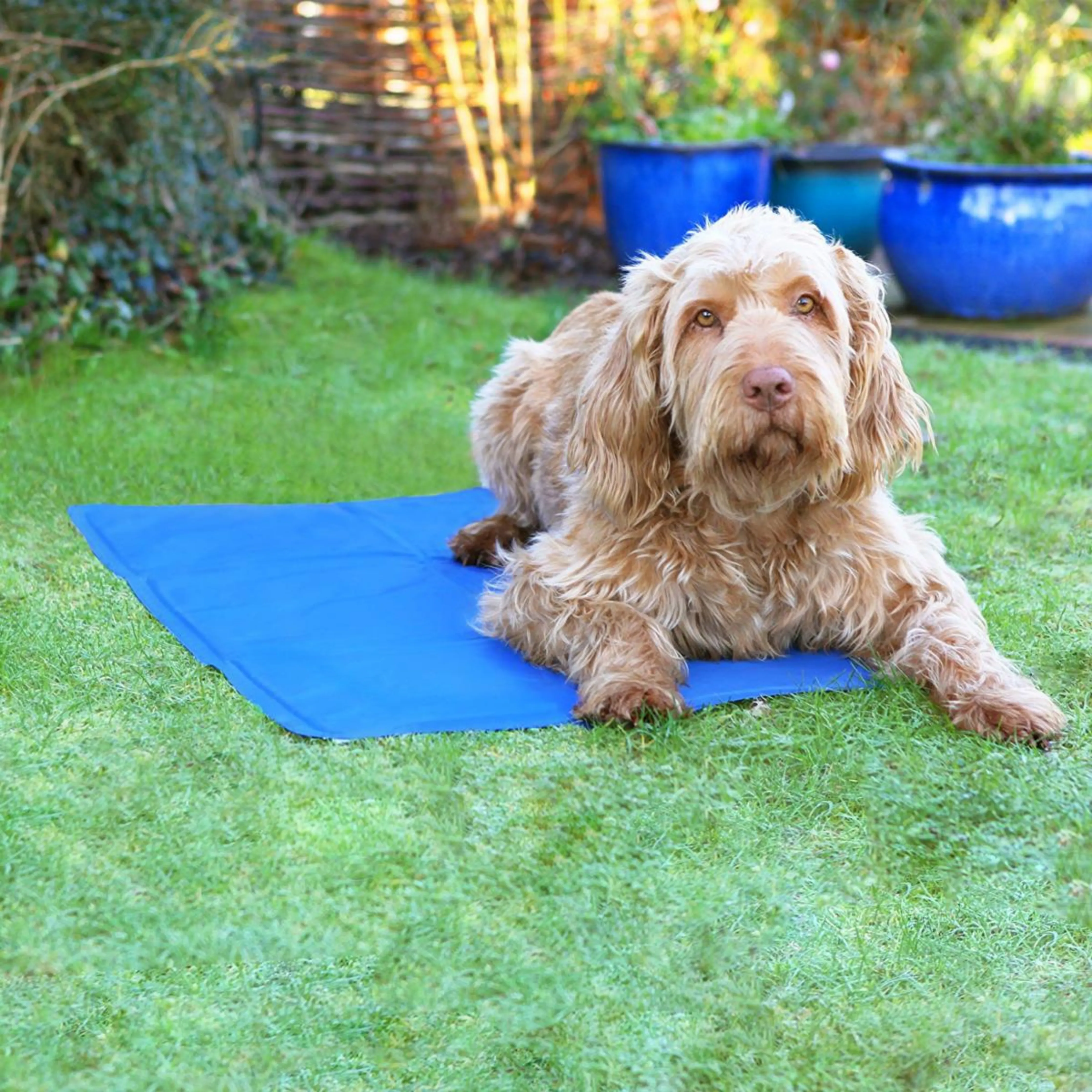 ROSEWOOD PET COOL MAT