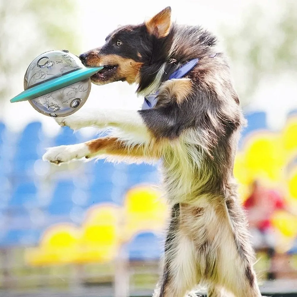 Slowly Leaking Food Dispensing Toy For Cats And Dogs
