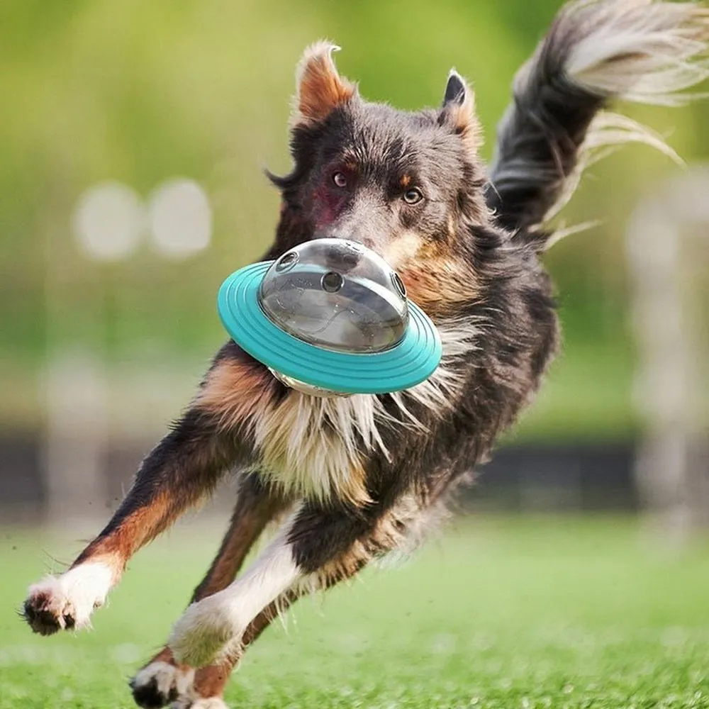 Slowly Leaking Food Dispensing Toy For Cats And Dogs