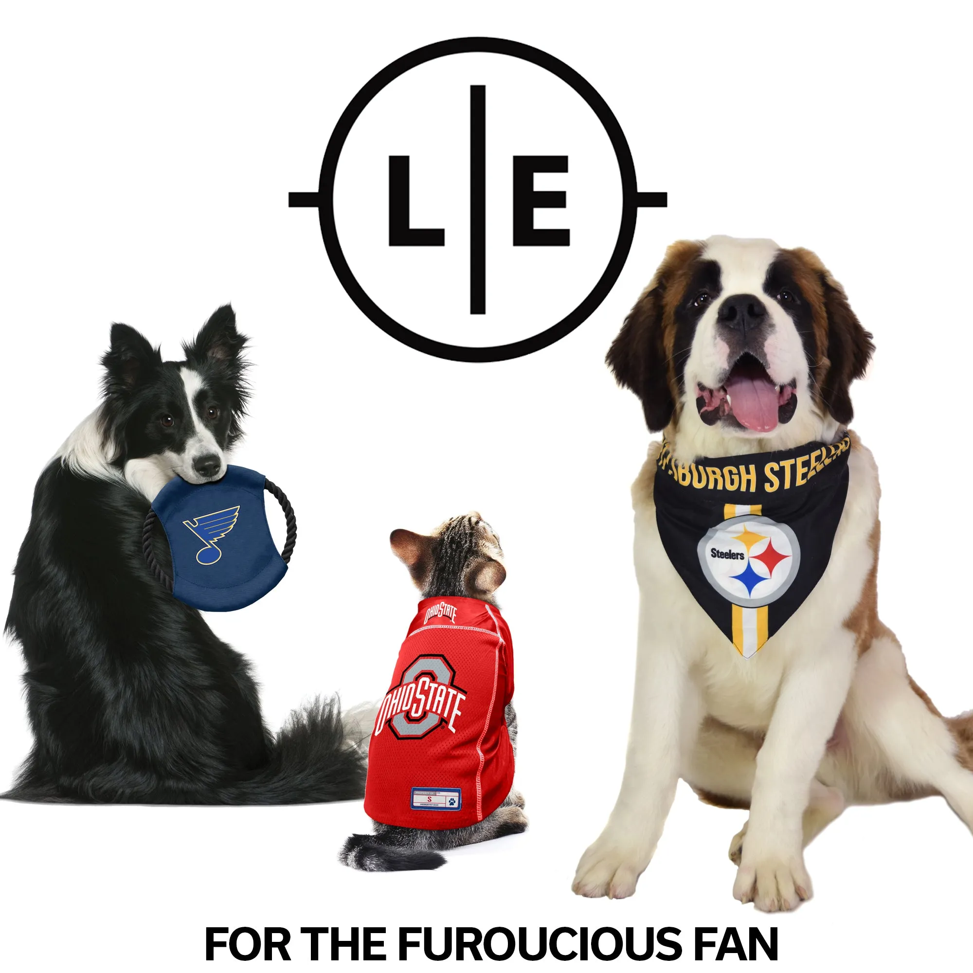 St. Louis Blues Team Flying Disc Pet Toy