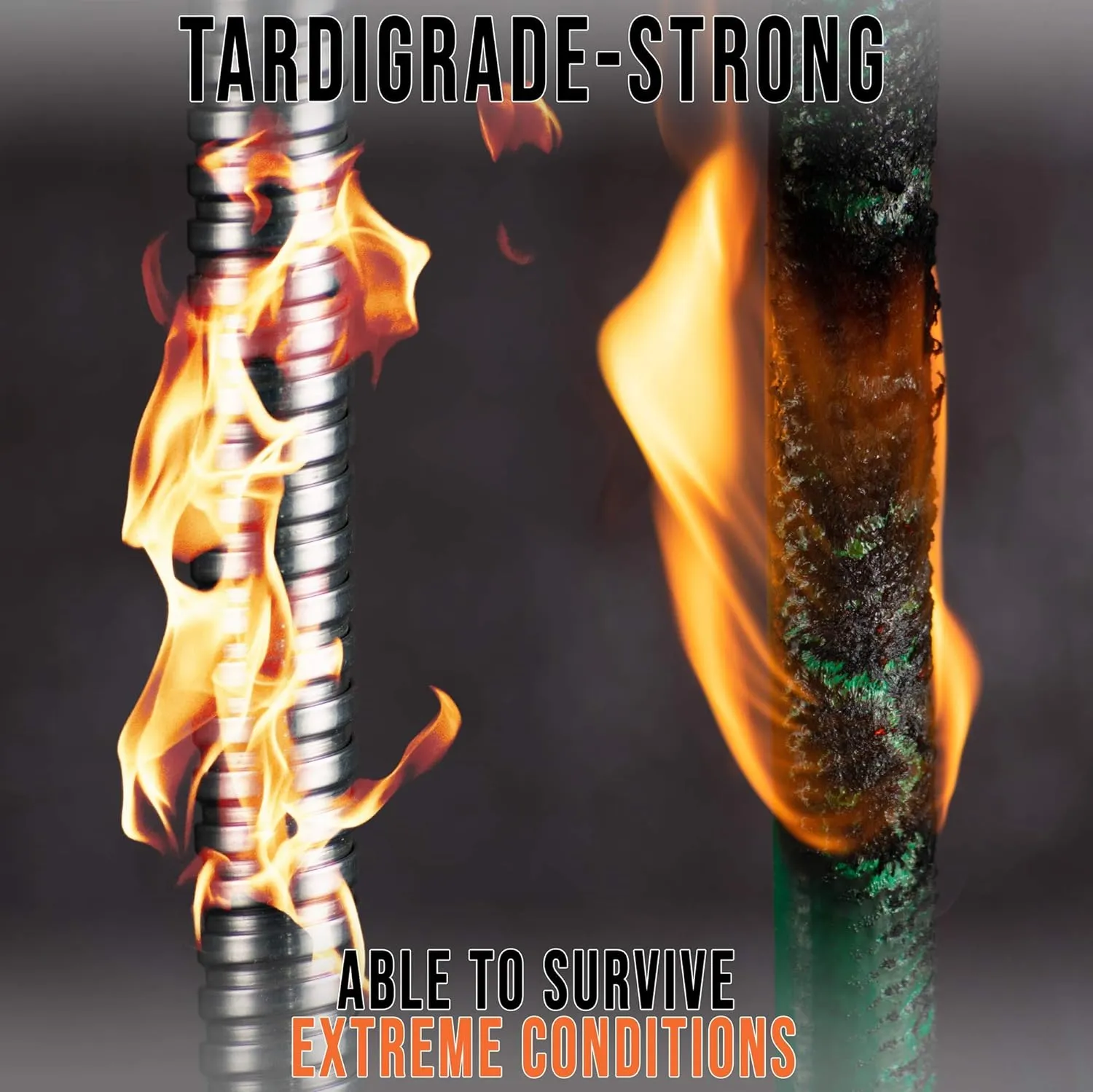 Tardigrade Metal Garden Hose 50 FT, Heavy Duty 304 Stainless Steel Water Hoses, Unmatched Durability, Flexible, No Kink & Tangle, Lightweight, Pet & Rust Proof for Outdoor Lawn Yard