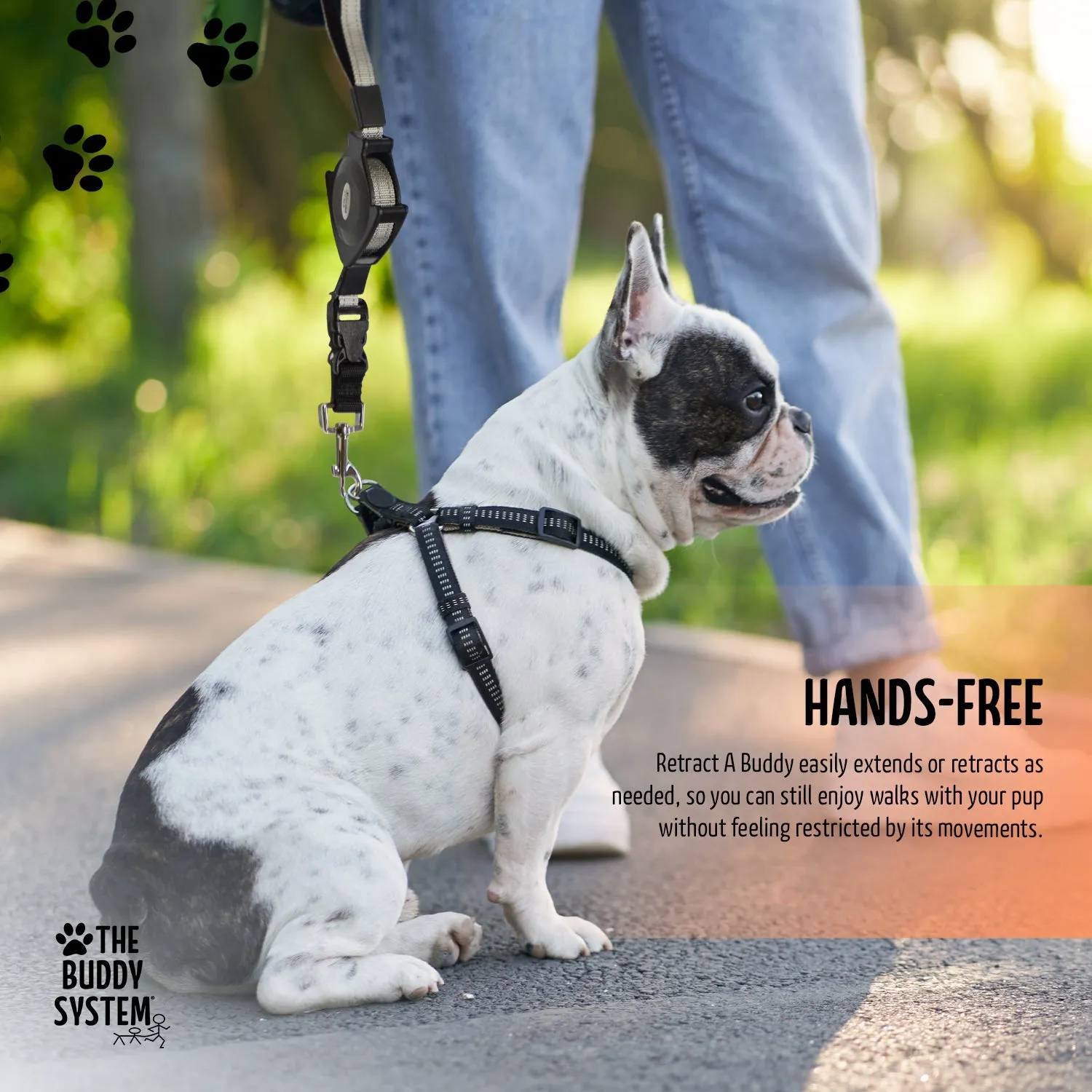 The Buddy System Accessories for Our Dog Leashes Made in USA (Small Dog Black, Retractable Leash)