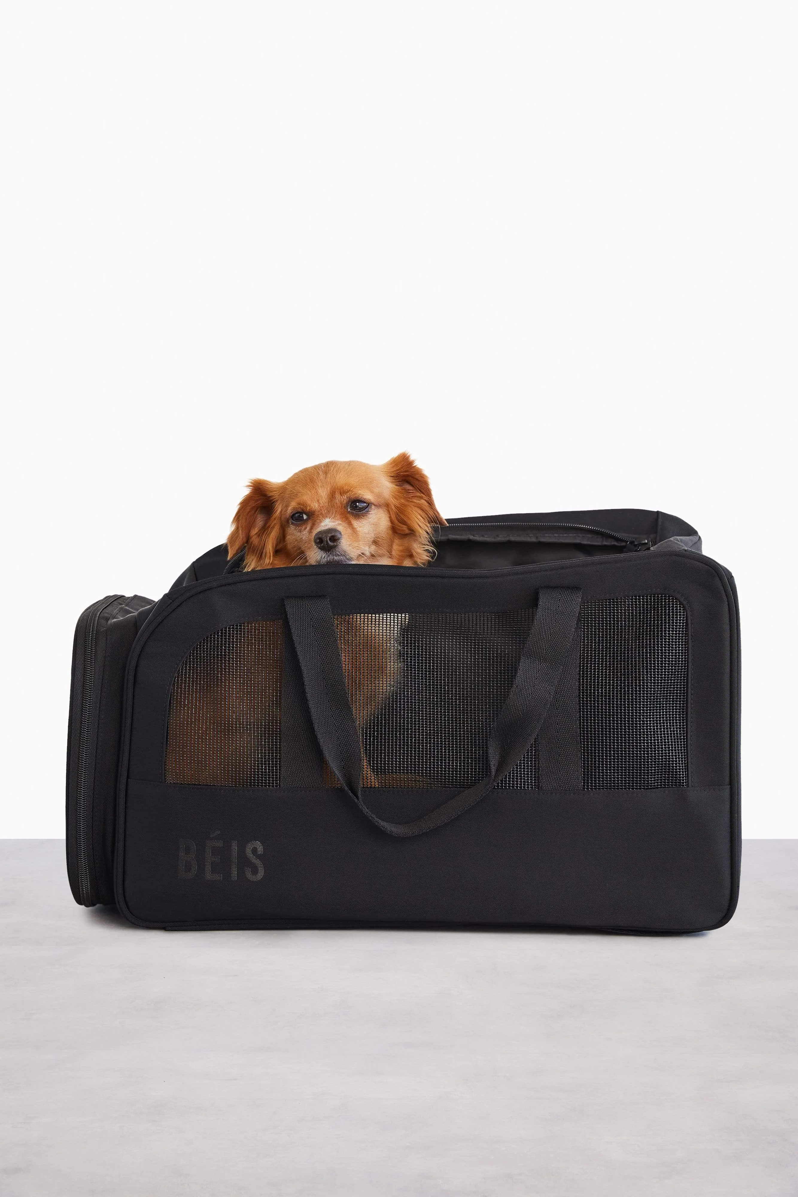 The Regulation Pet Carry-on in Black