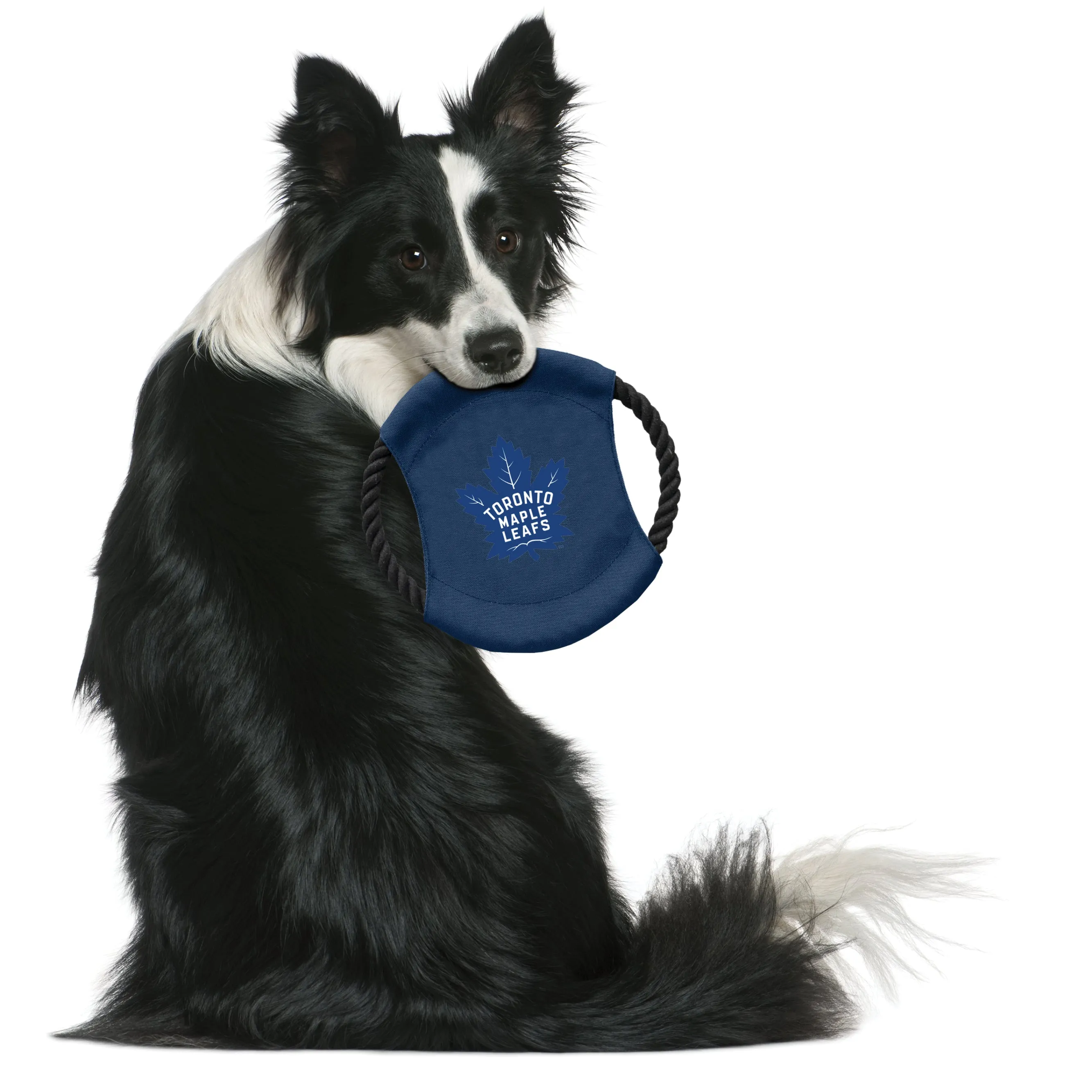 Toronto Maple Leafs Team Flying Disc Pet Toy