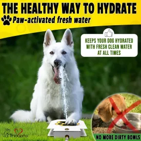 Trio Gato's Outdoor Dog Water Fountain Step On, Dog Sprinkler Paw Activated, Drinking Pet Dispenser, Provides Fresh Water, Sturdy, Easy to Use
